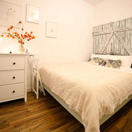 Jasmine Serenity Apartment - Central, Behind Black Church Braşov Eksteriør bilde